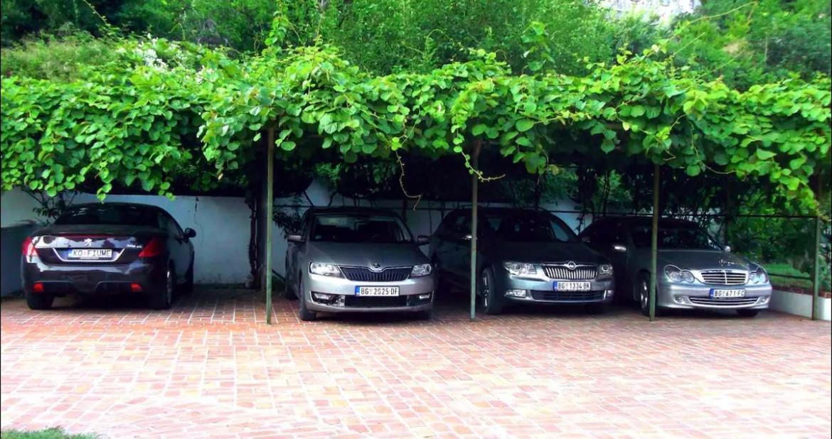 Carine Garden Apartment Рисан Екстериор снимка